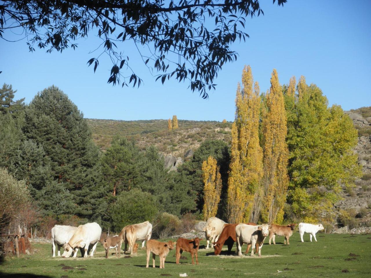 Affittacamere La Casona De Collado Hoyos del Collado Esterno foto